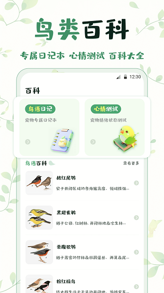 ﷭뾫appؽͼ