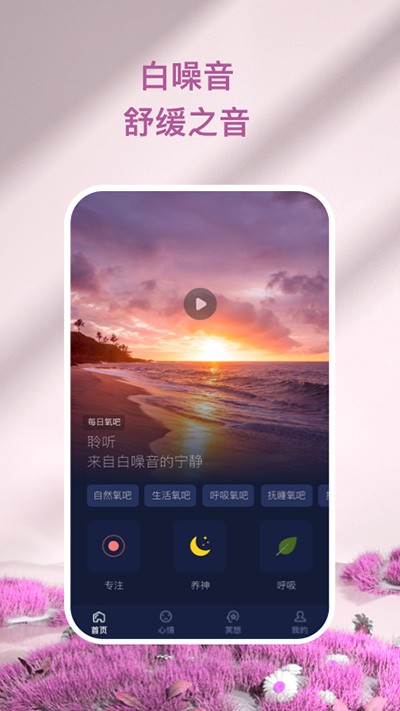 APPͼ