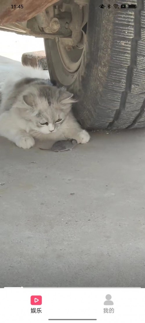 ˢappذװͼ