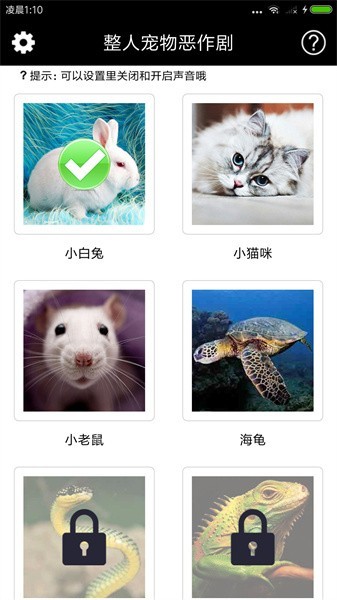 ˳appؽͼ
