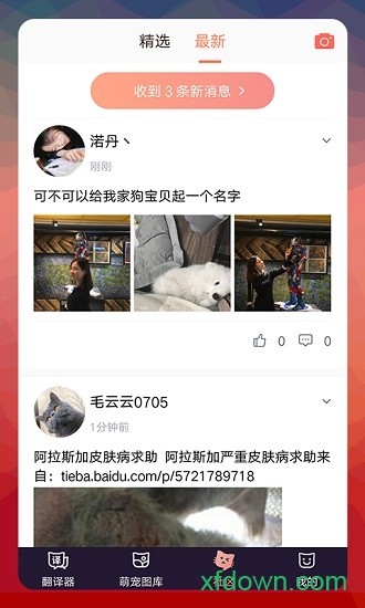 猫语翻译器app中文版下载截图