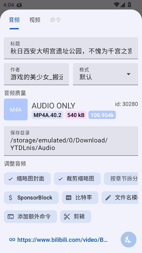 YTDLnis下载截图