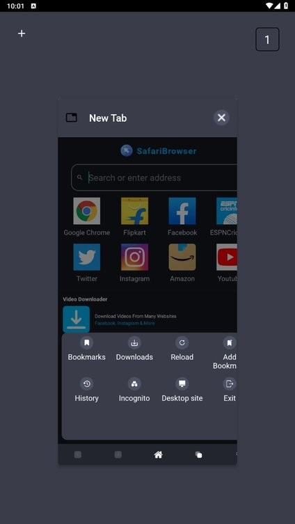 safari手机浏览器下载截图