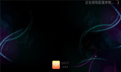 钻石TV电视版下载截图