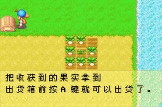 ʯĻֻؽͼ